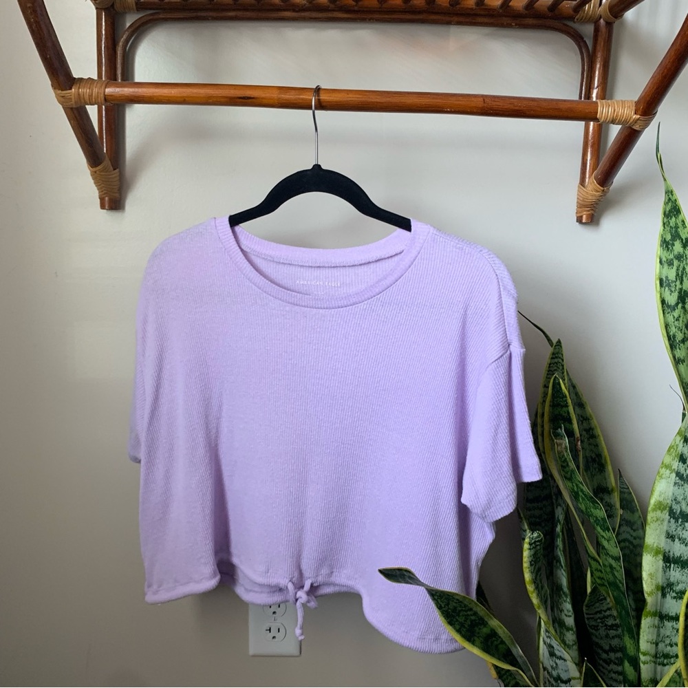 American Eagle Tie Front Purple Crop Top